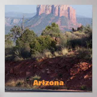 Póster Poster de Arizona