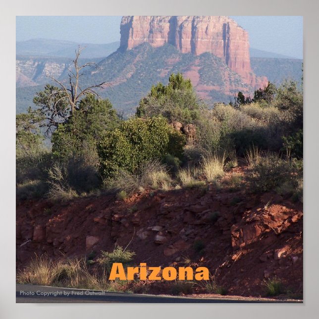 Póster Poster de Arizona (Frente)