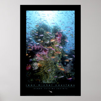 Póster Poster de arrecife de Coral
