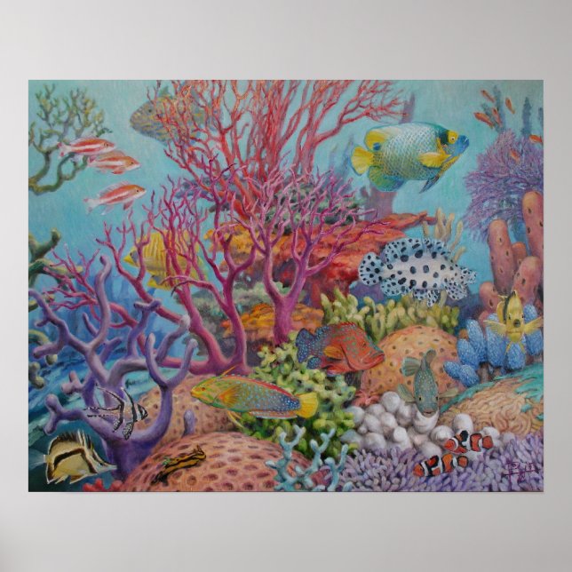 Póster Poster de Arrecifes del Mar del Sur (Frente)