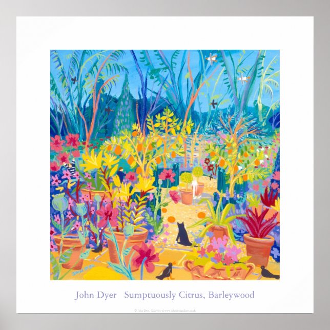 Póster Poster de Arte: Alan Titchmarsh Barleywood Garden. (Frente)