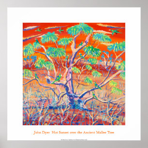 Póster Poster de Arte: Árbol de mallas Sunset de Banrock 