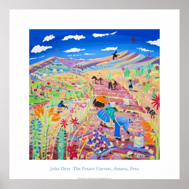 Póster Poster de Arte: La cosecha de papa, Amaru, Perú (Frente)