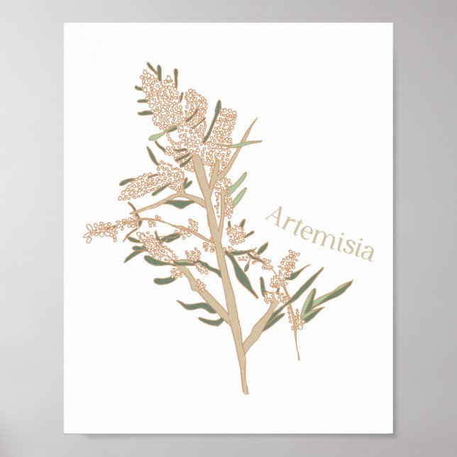 Póster Poster de Artemisia (Frente)