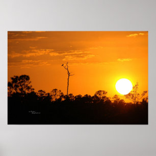 Póster Poster de atardecer forestal