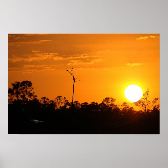 Póster Poster de atardecer forestal (Frente)