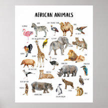 Poster de aula educativa de animales africanos