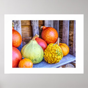 Póster Poster de Autumn Gourds