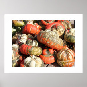 Póster Poster de Autumn Gourds