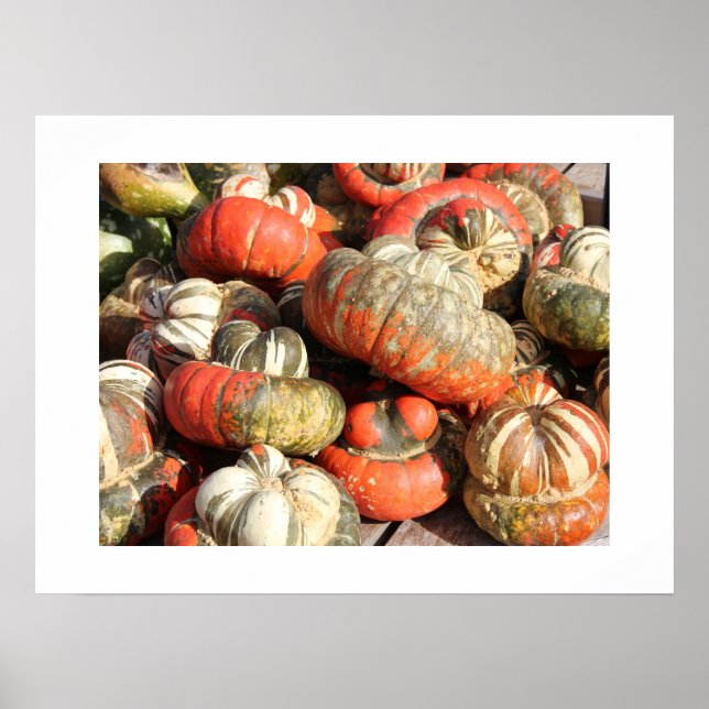 Póster Poster de Autumn Gourds (Frente)