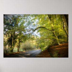 Póster Poster de Autumn Woodland (4316)