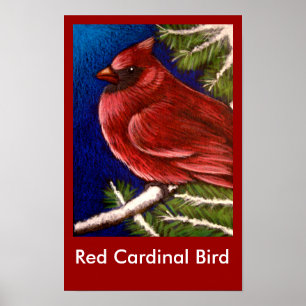 PÓSTER POSTER DE AVES CARDINALES ROJAS