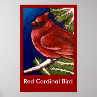 PÓSTER POSTER DE AVES CARDINALES ROJAS