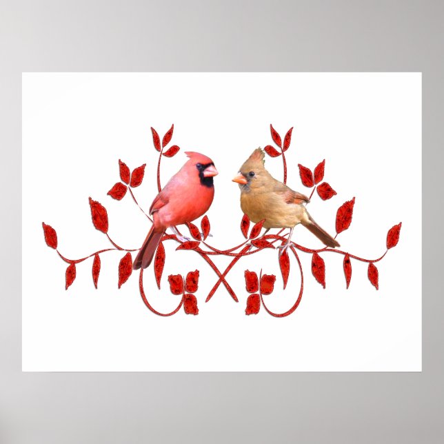 Póster Poster de Aves de Amor (Frente)
