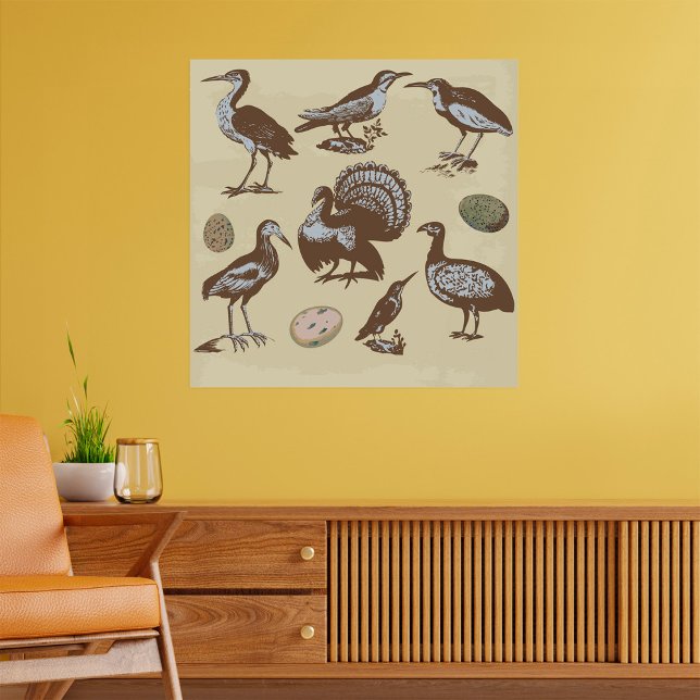 Póster Poster de Aves de Estilo Vintage (Subido por el creador)