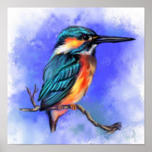 Póster Poster de aves de Kingfisher - Pintura