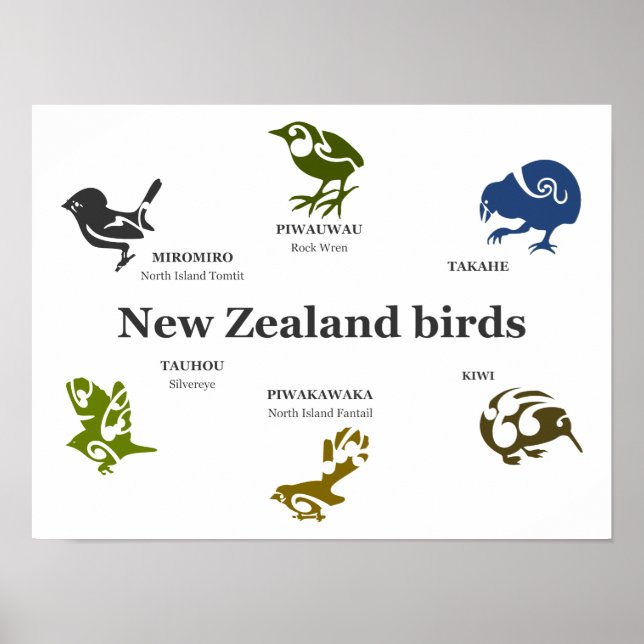 Póster Poster de Aves de Nueva Zelanda (Frente)