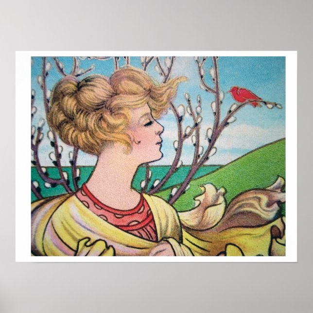 Póster Poster de aves decenal chica (Frente)