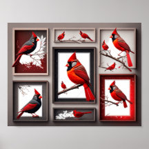 Poster de aves del cardenal rojo del norte