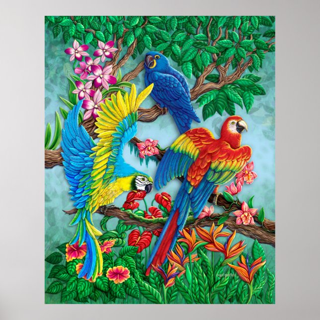 Póster Poster de Aves del Paraíso (Frente)