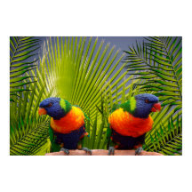 Poster de Aves Tropicales