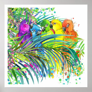 Póster Poster de Aves Tropicales