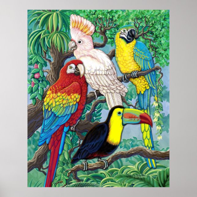 Póster Poster de Aves Tropicales (Frente)