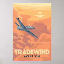 Poster de Aviación de Transledewind