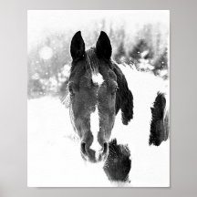 Poster de B&W para equinos de caballo de invierno