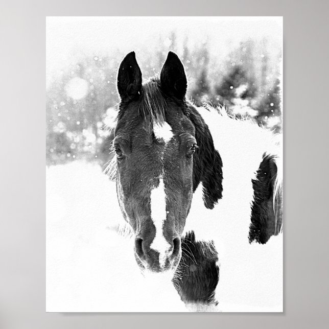 Póster Poster de B&W para equinos de caballo de invierno (Frente)
