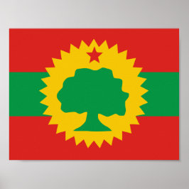 Póster Poster de bandera de Oromo