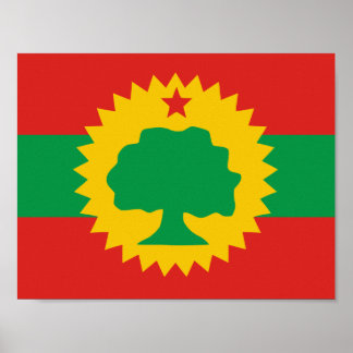 Póster Poster de bandera de Oromo