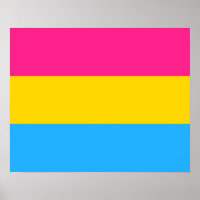 Poster de bandera pansexualidad