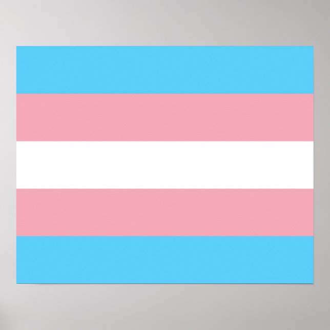 Póster Poster de bandera transgénero (Frente)