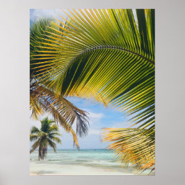 Póster poster de Beach Palms