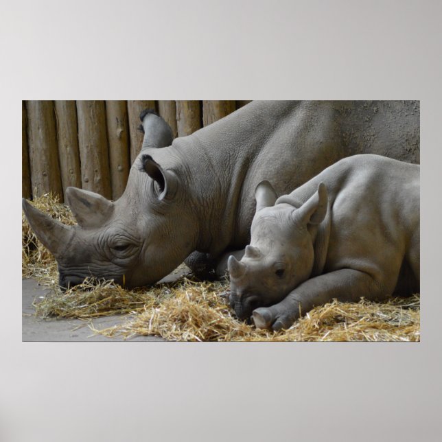 Póster Poster de bebé (Frente)