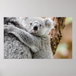 Póster Poster de bebé