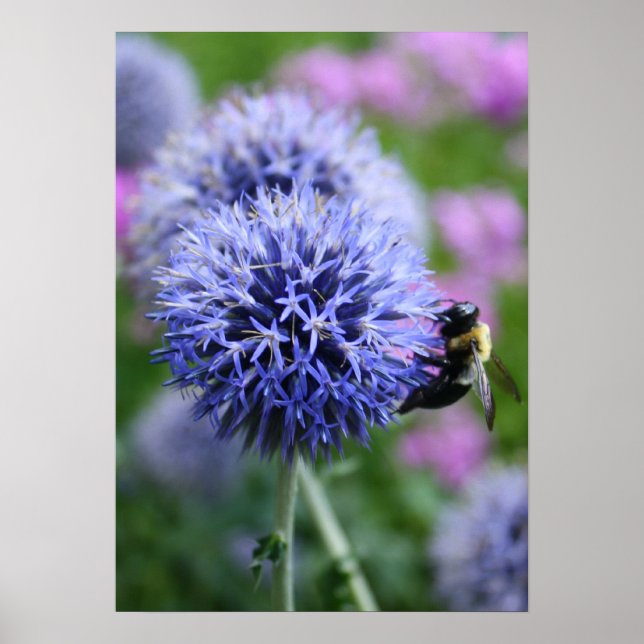 Póster Poster de Bee-have (Frente)