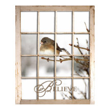 Poster DE BELIEVE - AVE A TRAVÉS DE LA VENTANA