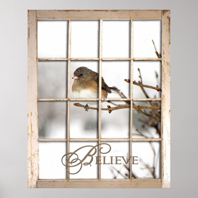 Póster Poster DE BELIEVE - AVE A TRAVÉS DE LA VENTANA (Frente)