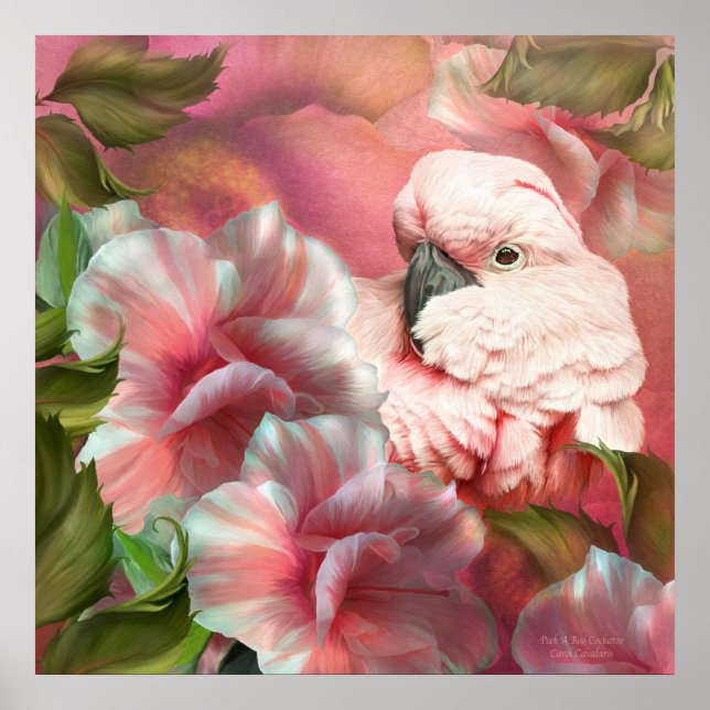 Póster Poster de Bella Artes de Cockatoo Peek A Boo (Frente)