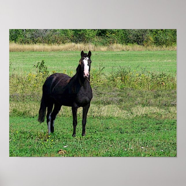 Póster Poster de besos (Frente)