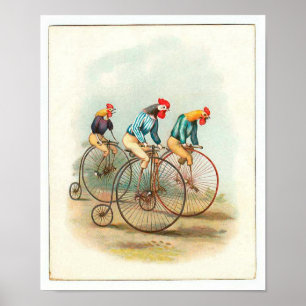 Póster Poster de bicicletas de época, gallos de penifarth