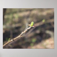 Poster de bifurcación de árbol en curso