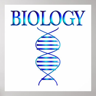 Póster Poster de Biología - A partir de $11.80