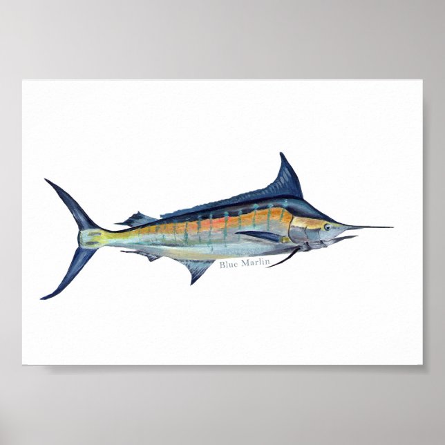 Póster Poster de Blue Marlin (Frente)