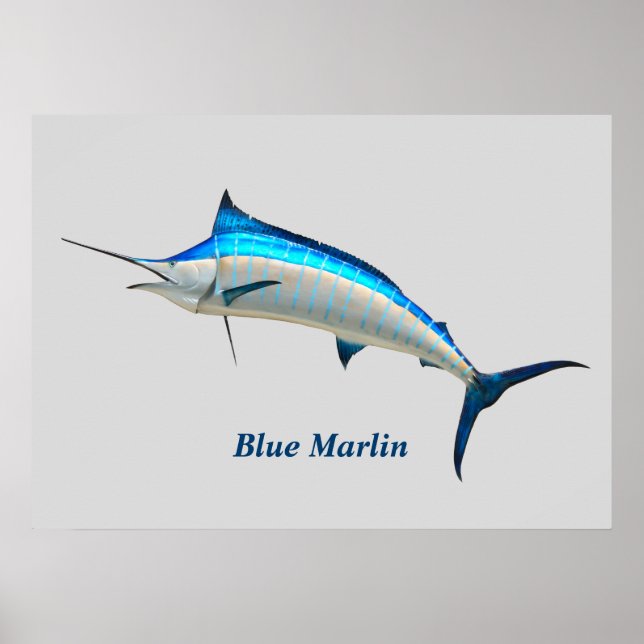 Póster Poster de Blue Marlin (Frente)