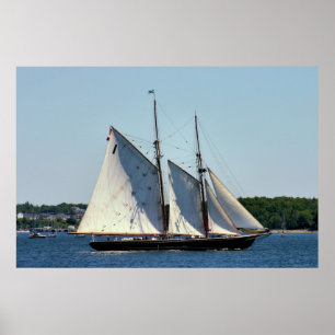 Póster Poster de Bluenose II Schooner