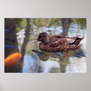 Póster Poster de bonos de pato y peces