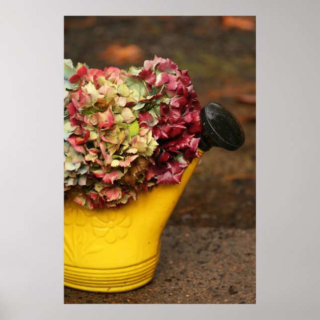 Póster Poster de Bouquet and Water Can (Frente)